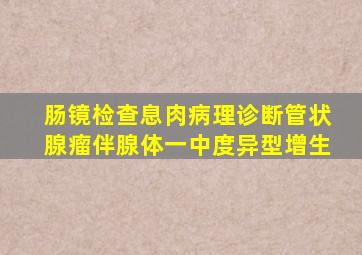 肠镜检查息肉病理诊断管状腺瘤伴腺体一中度异型增生