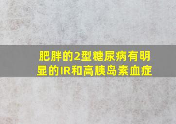 肥胖的2型糖尿病有明显的IR和高胰岛素血症