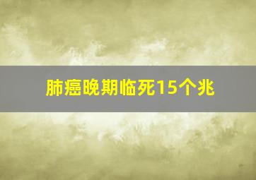 肺癌晚期临死15个兆