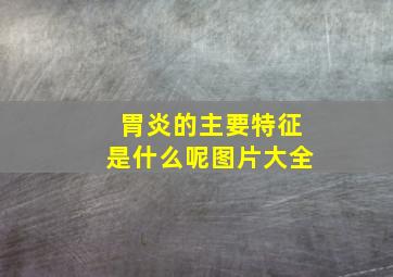 胃炎的主要特征是什么呢图片大全