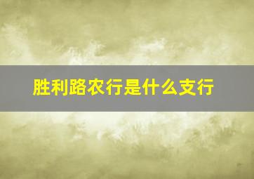 胜利路农行是什么支行