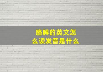 胳膊的英文怎么读发音是什么