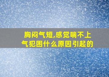 胸闷气短,感觉喘不上气犯困什么原因引起的