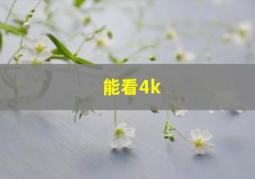 能看4k