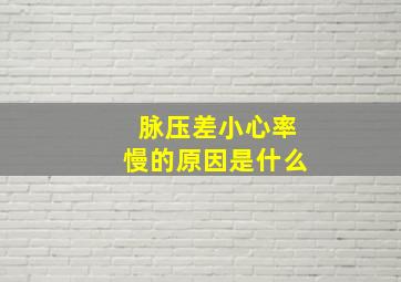 脉压差小心率慢的原因是什么