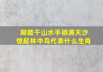 脚踏千山水手扬满天沙惊起林中鸟代表什么生肖