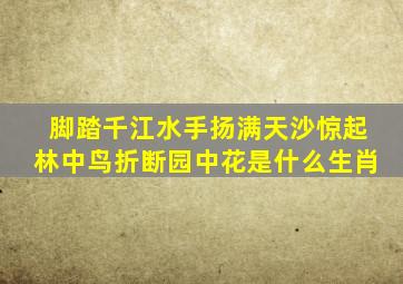 脚踏千江水手扬满天沙惊起林中鸟折断园中花是什么生肖