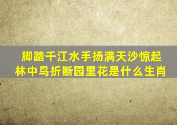 脚踏千江水手扬满天沙惊起林中鸟折断园里花是什么生肖