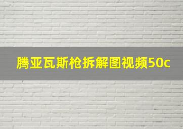 腾亚瓦斯枪拆解图视频50c