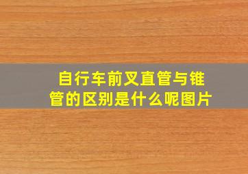 自行车前叉直管与锥管的区别是什么呢图片