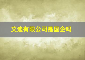 艾迪有限公司是国企吗