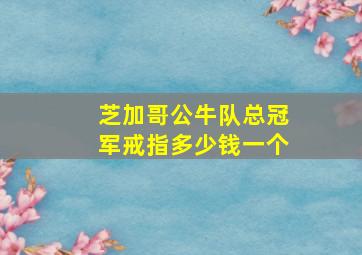 芝加哥公牛队总冠军戒指多少钱一个