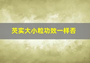 芡实大小粒功效一样否