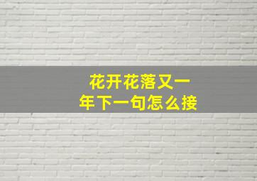 花开花落又一年下一句怎么接