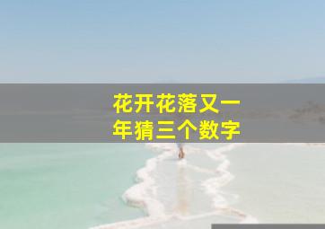 花开花落又一年猜三个数字