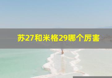 苏27和米格29哪个厉害