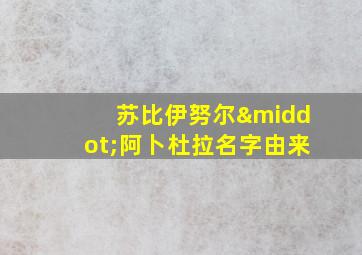 苏比伊努尔·阿卜杜拉名字由来