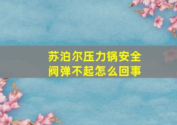 苏泊尔压力锅安全阀弹不起怎么回事