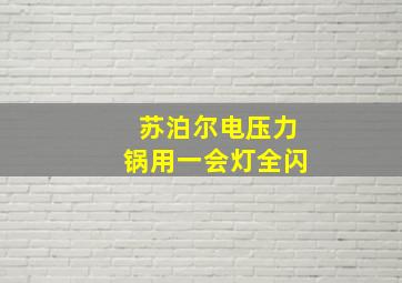 苏泊尔电压力锅用一会灯全闪