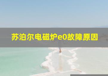 苏泊尔电磁炉e0故障原因