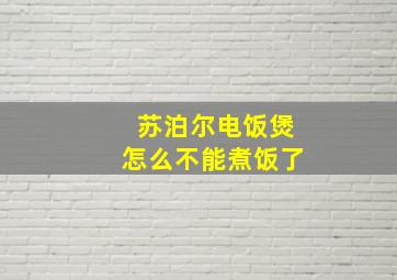 苏泊尔电饭煲怎么不能煮饭了