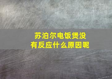 苏泊尔电饭煲没有反应什么原因呢