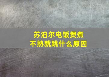 苏泊尔电饭煲煮不熟就跳什么原因