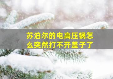 苏泊尔的电高压锅怎么突然打不开盖子了