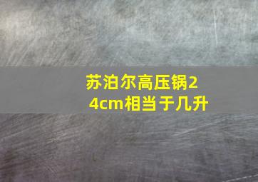 苏泊尔高压锅24cm相当于几升