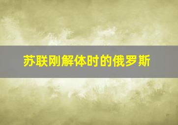 苏联刚解体时的俄罗斯