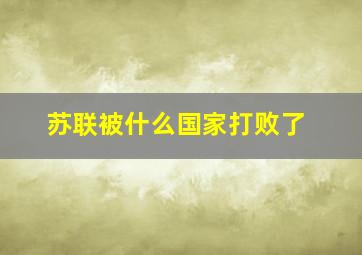 苏联被什么国家打败了