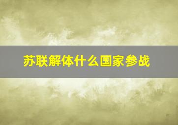 苏联解体什么国家参战