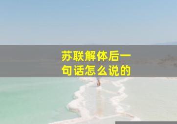 苏联解体后一句话怎么说的