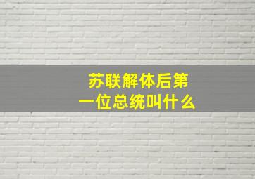 苏联解体后第一位总统叫什么