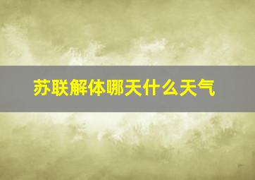 苏联解体哪天什么天气