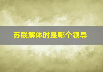 苏联解体时是哪个领导