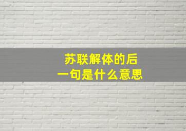 苏联解体的后一句是什么意思