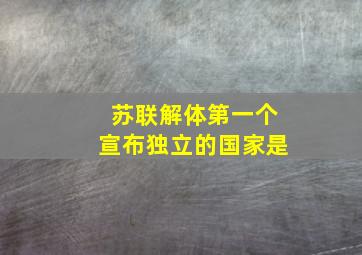 苏联解体第一个宣布独立的国家是