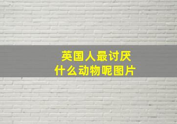 英国人最讨厌什么动物呢图片