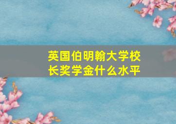 英国伯明翰大学校长奖学金什么水平