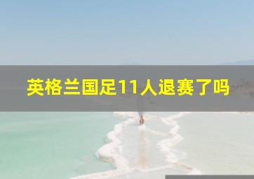 英格兰国足11人退赛了吗