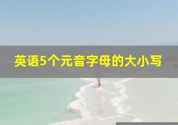 英语5个元音字母的大小写