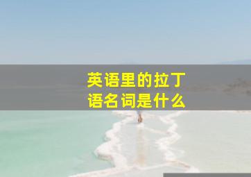 英语里的拉丁语名词是什么