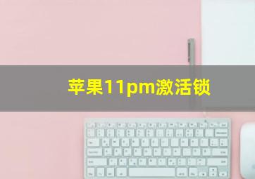 苹果11pm激活锁