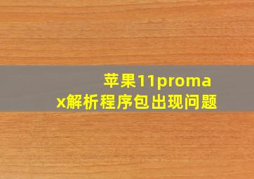 苹果11promax解析程序包出现问题