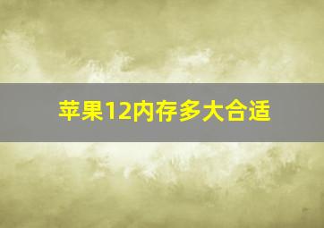 苹果12内存多大合适