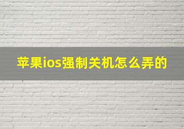 苹果ios强制关机怎么弄的