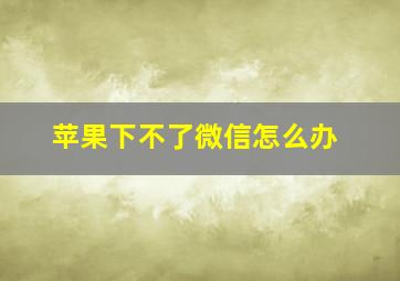 苹果下不了微信怎么办