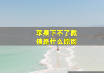 苹果下不了微信是什么原因