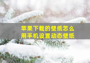 苹果下载的壁纸怎么用手机设置动态壁纸